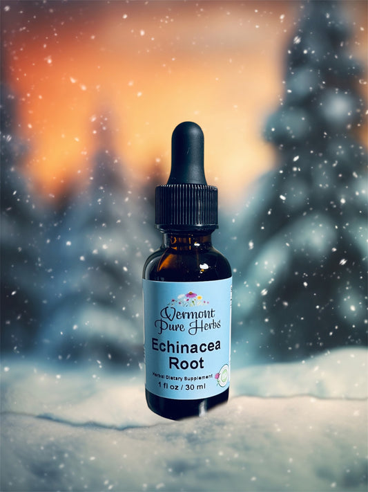 Echinacea Root