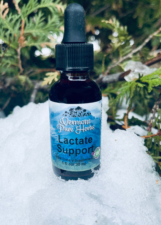 Lactate Support