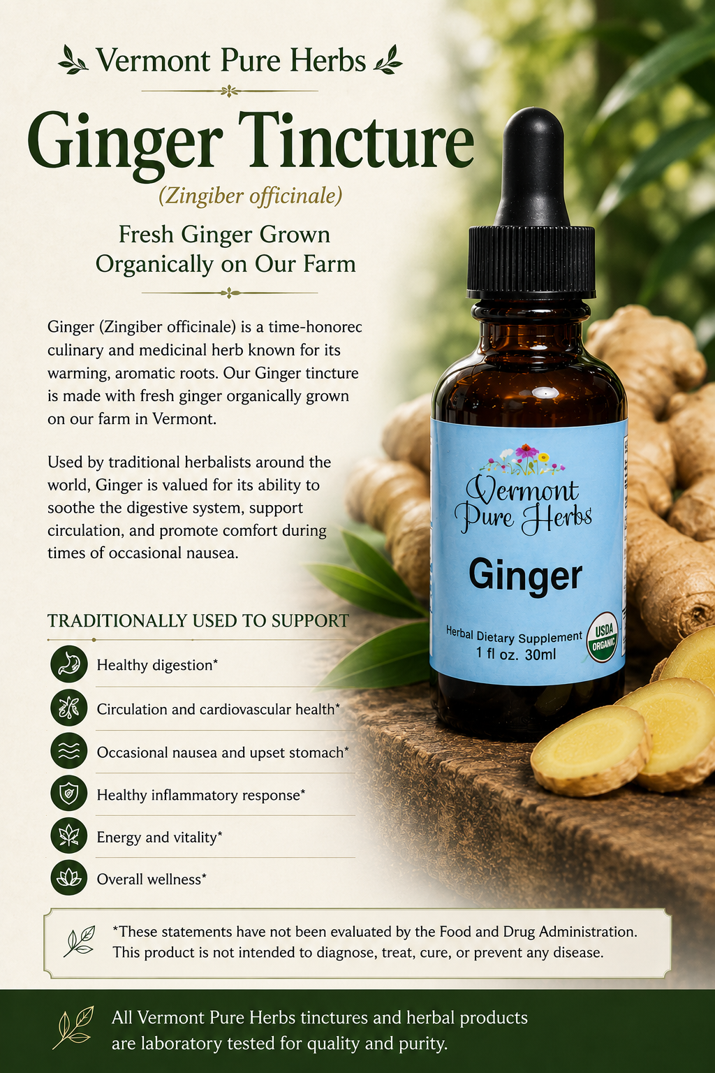 Ginger