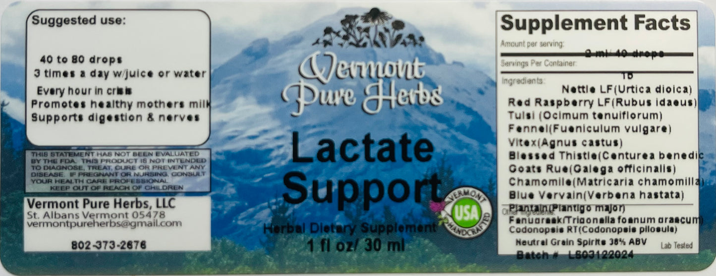 Lactate Support