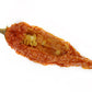 Bhut Jolokia (ghost pepper dried)