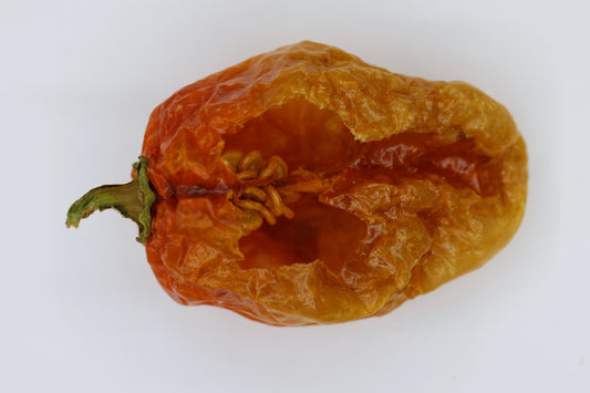 Habaneros Capsicum (hot pepper dried)