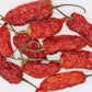Aji Rico Hot Pepper (dried, mild to spicy)