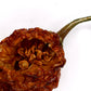 Carolina Reaper (hot pepper dried)