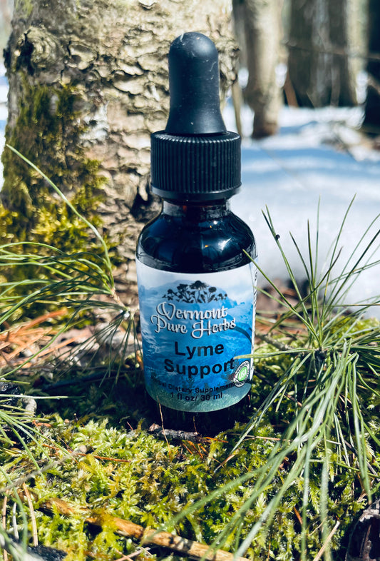 Lyme Support