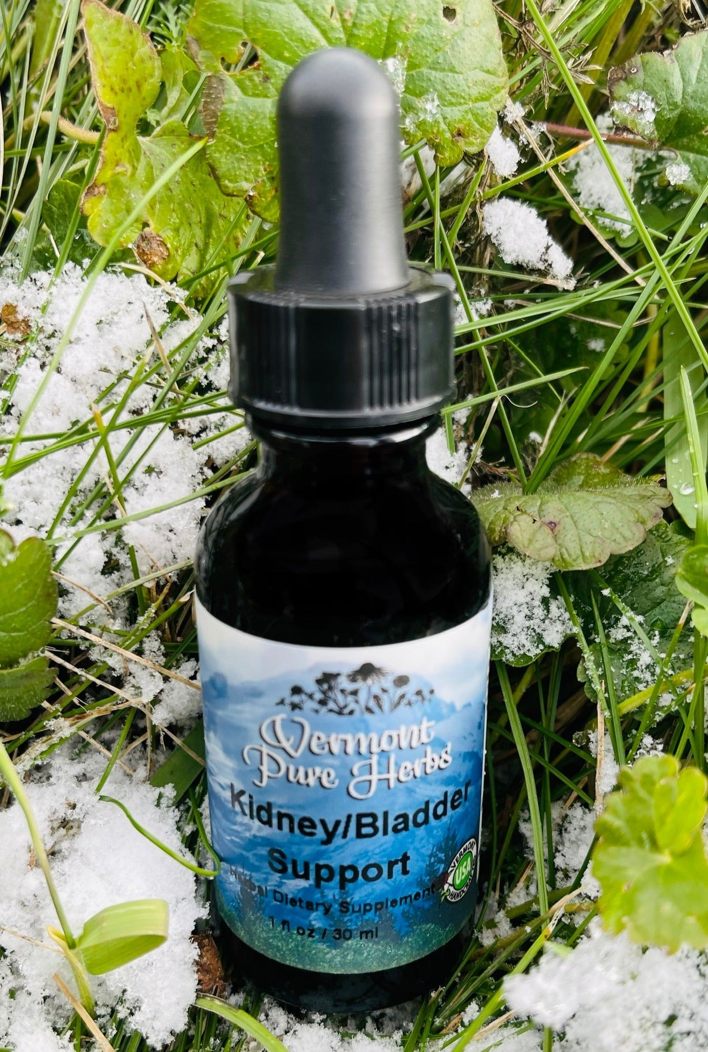 Kidney-Bladder Support