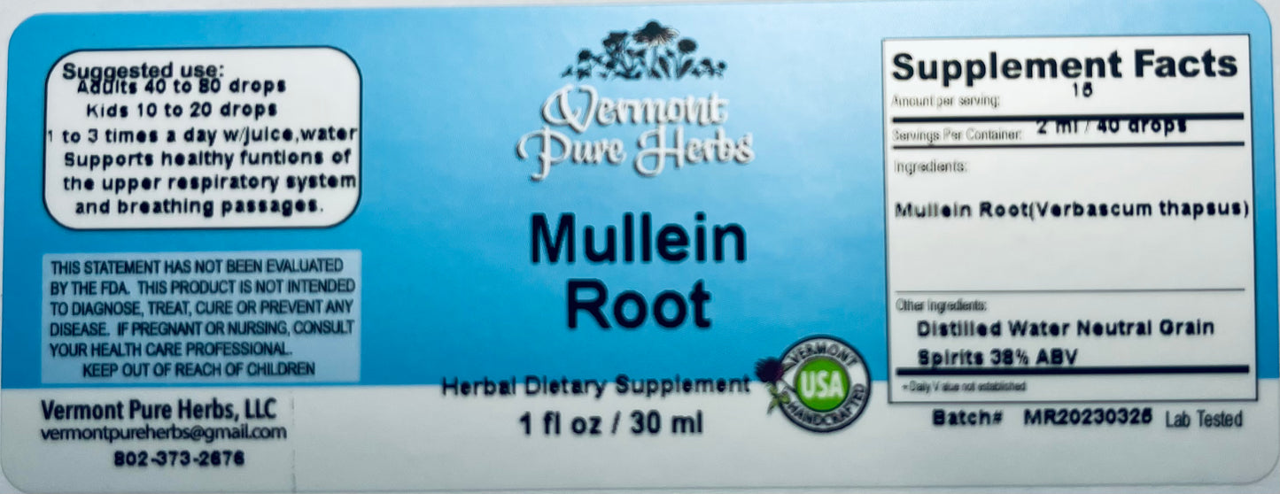 Mullein Root