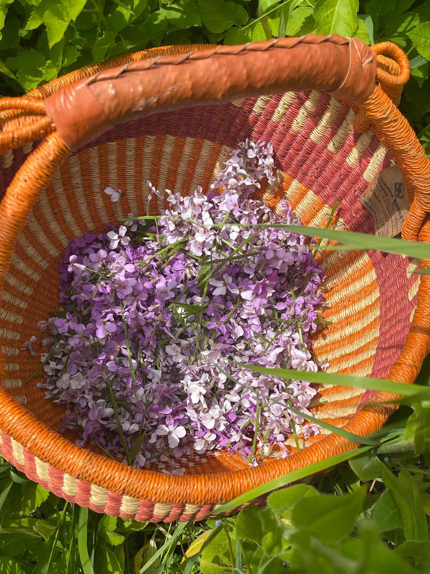 Combination Herbal Tinctures