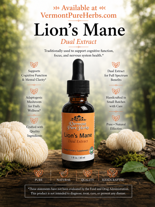 Lions Mane (Dual Extract)