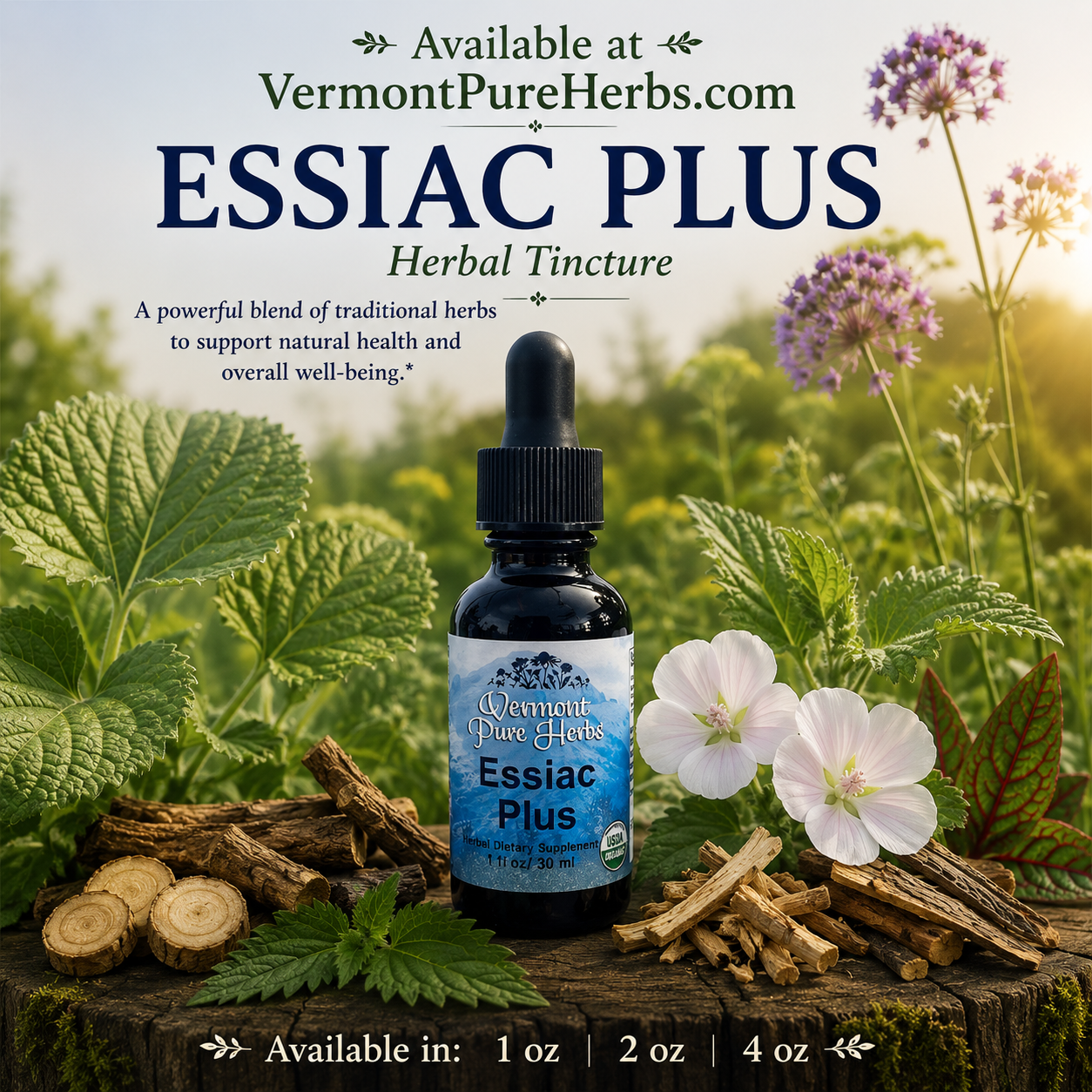 Essiac Plus
