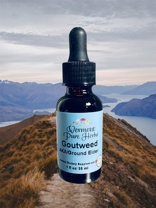 Goutweed (Ground Elder)