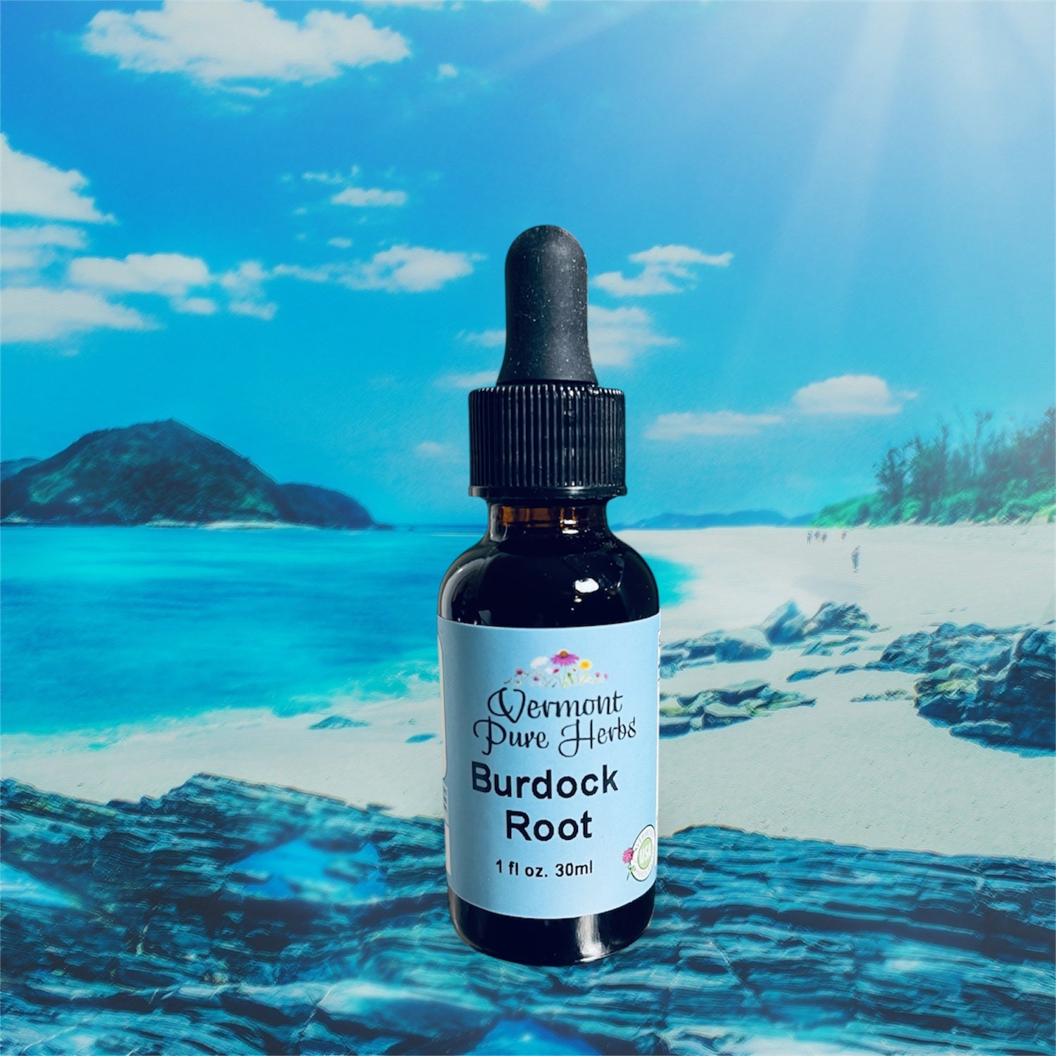 Burdock Root – Vermont Pure Herbs