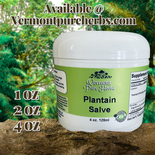 Plantain Salve
